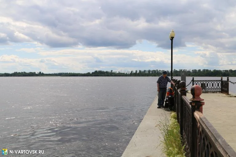 Уровень воды в реке Обь продолжает снижаться