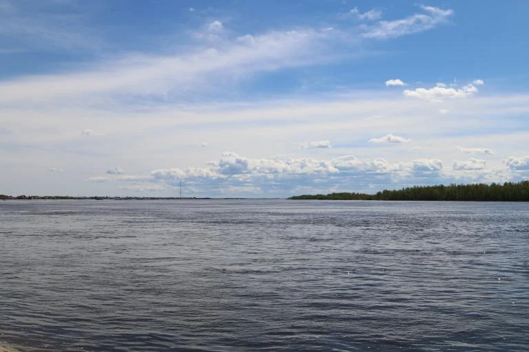 Уровень воды в реке Обь
