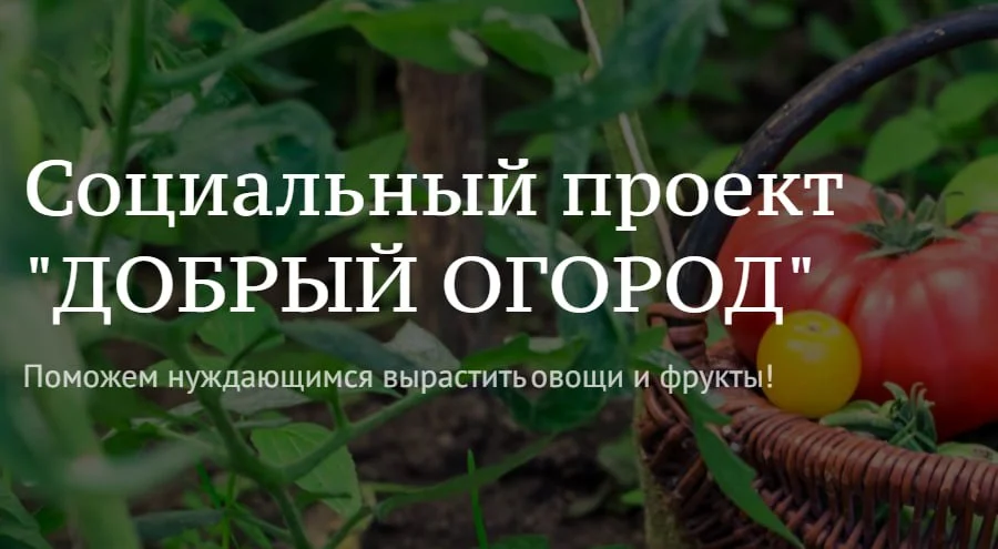 Будьте в курсе: О результатах конкурса агроволонтерских проектов «Добрый огород»