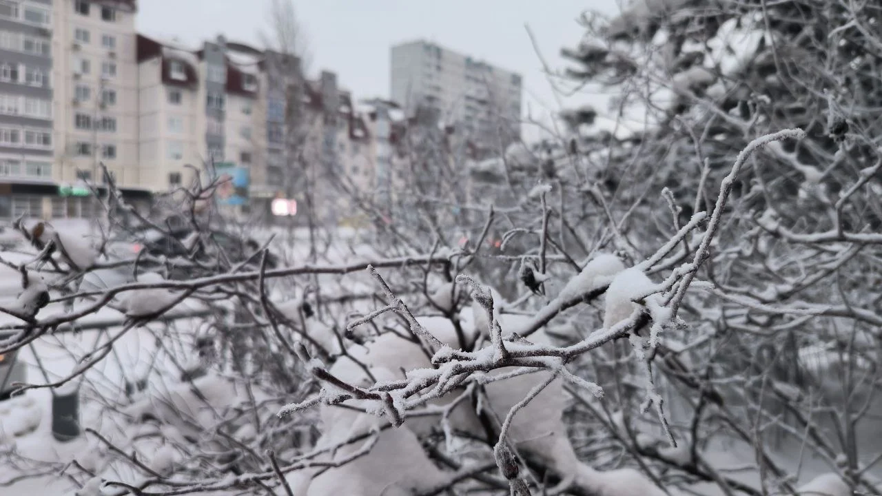 Приемы граждан в следственном отделе по городу Нижневартовску